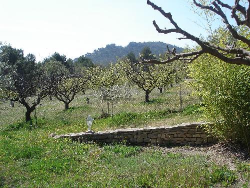 Land for Sale in Provence 