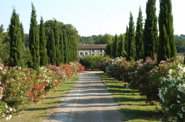 propriété ancienne d'agrément et viticole située à 20 minutes d'Aix en Provence 